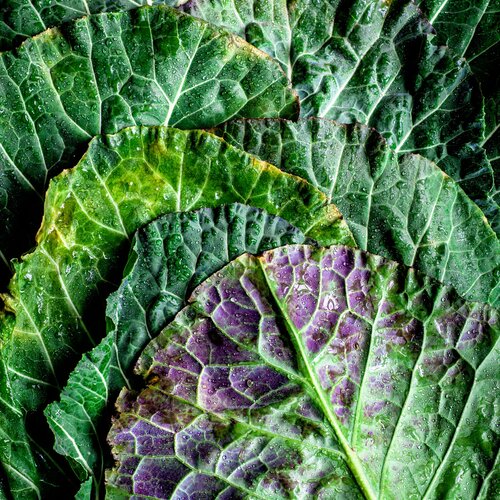 Skin Foods — Perfect Dose Med Spa blog